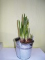/album/pokus-s-narcisem/sdc15593-jpg/