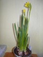 /album/pokus-s-narcisem/sdc15602-jpg/