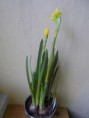 /album/pokus-s-narcisem/sdc15607-jpg/