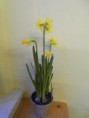 /album/pokus-s-narcisem/sdc15608-jpg/